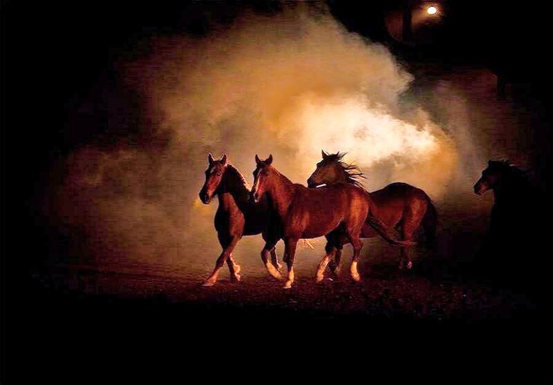 horses running in smoke