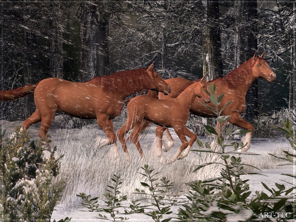 Horses running in snow