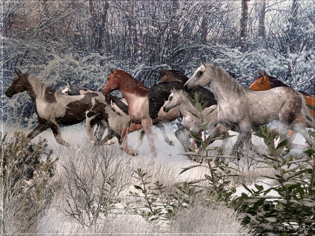 Horses running in snow
