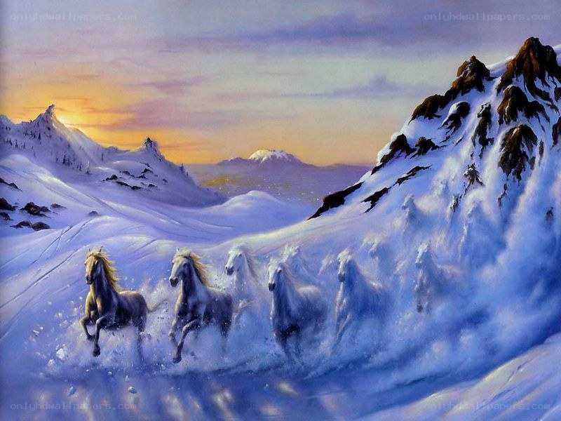 Horses running in snow
