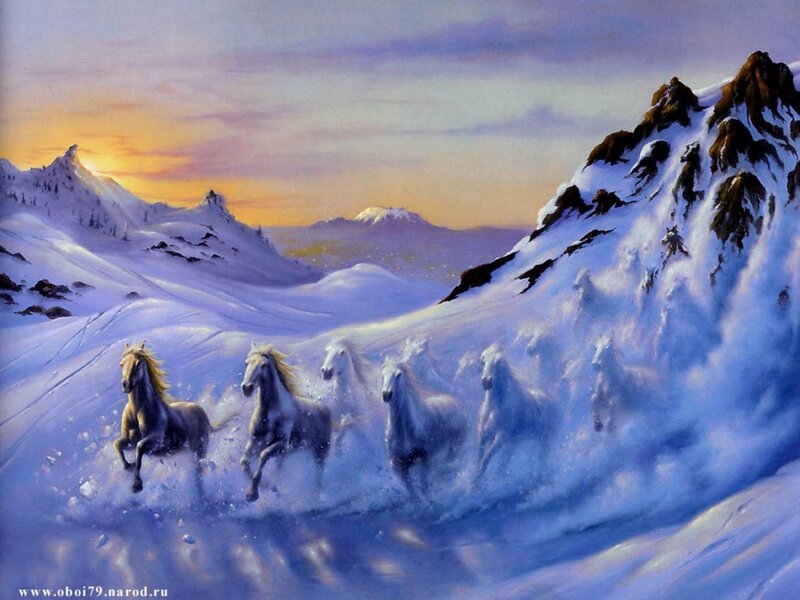 Horses running in snow