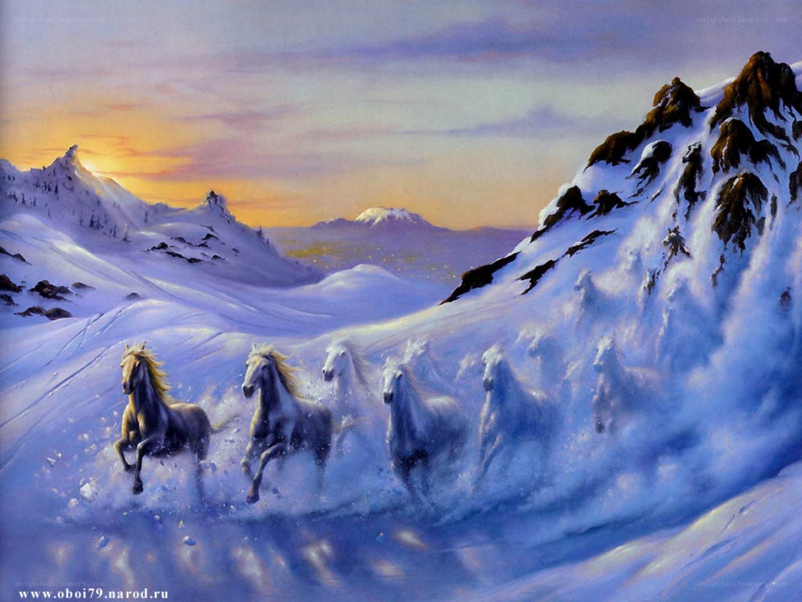 Horses running in snow