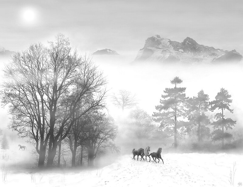Horses Running in Snow — Black