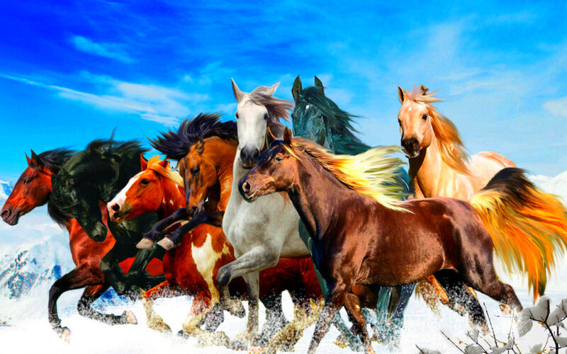 Horses Running in Snow — Blue, Dynamic