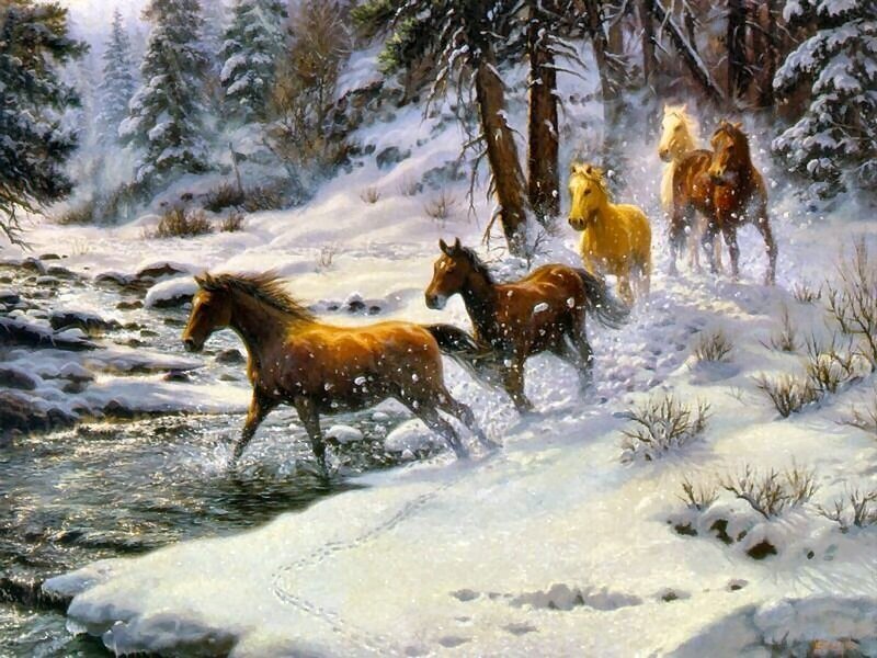 Horses Running in Snow — Brown, Dynamic
