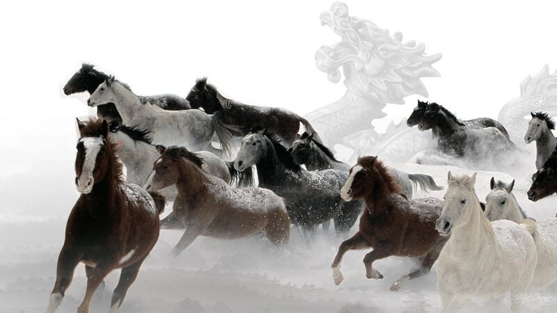 Horses Running in Snow — White, Dynamic, Winter, Digital Art, Dragon