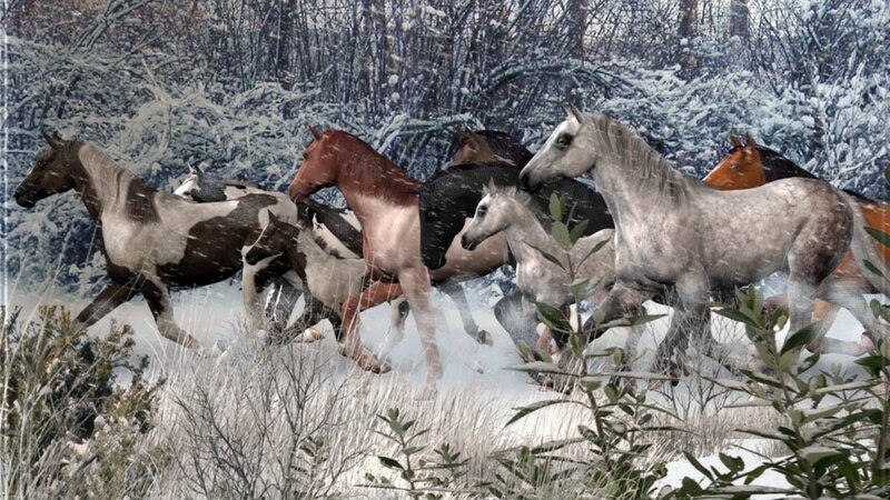 Horses Running in Snow — White, Dynamic, Winter, Digital Art