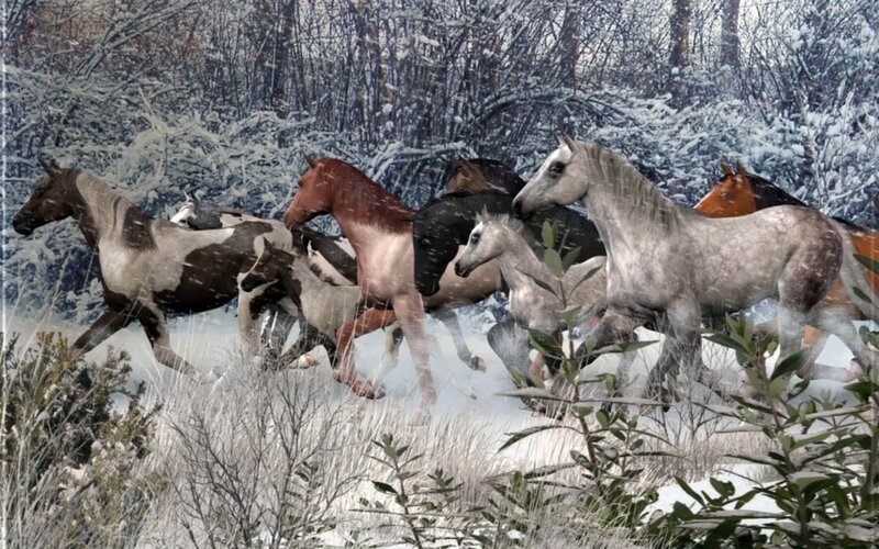 Horses running in snowy forest
