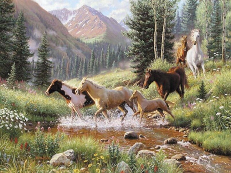 Horses Running in Stream