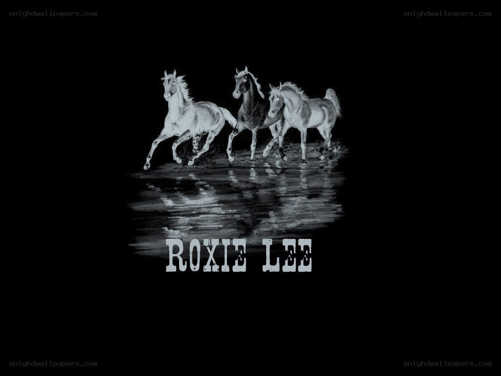horses running in water