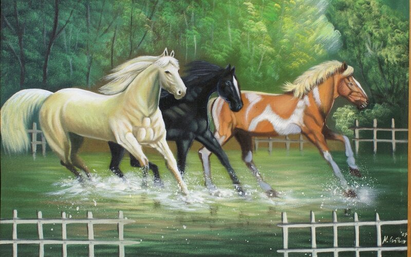 horses running in water