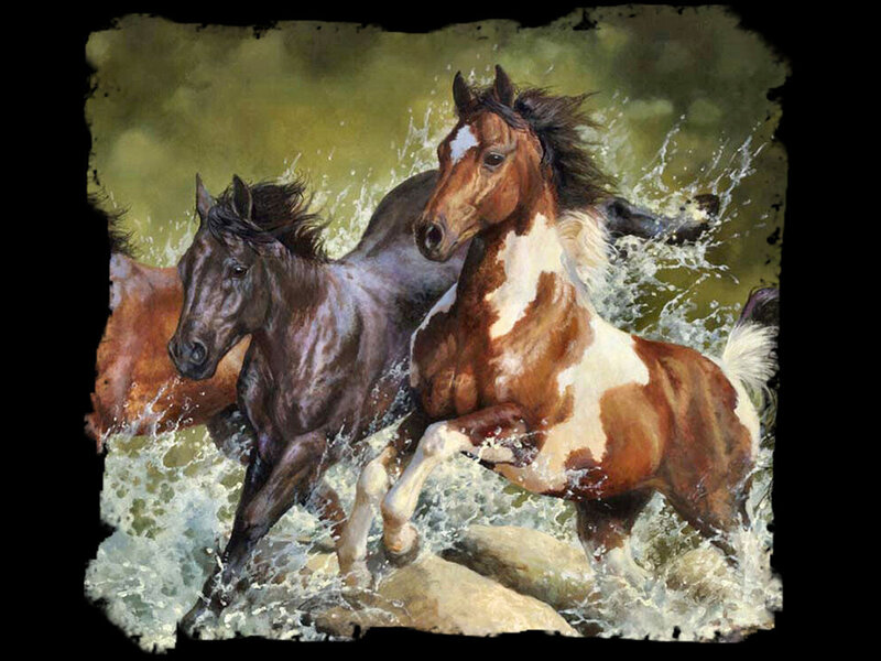 Horses Running in Water — Brown