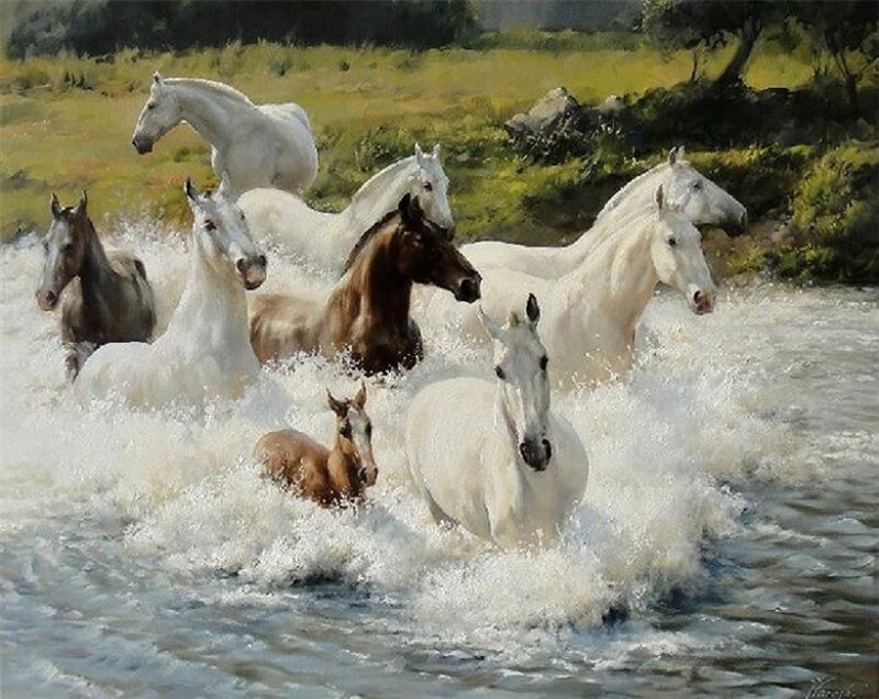 Horses Running in Water — White, Dynamic