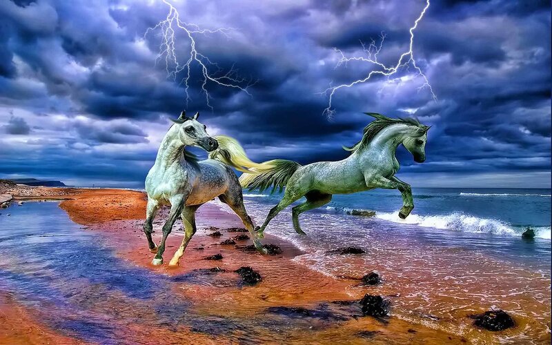 Horses running on beach at storm