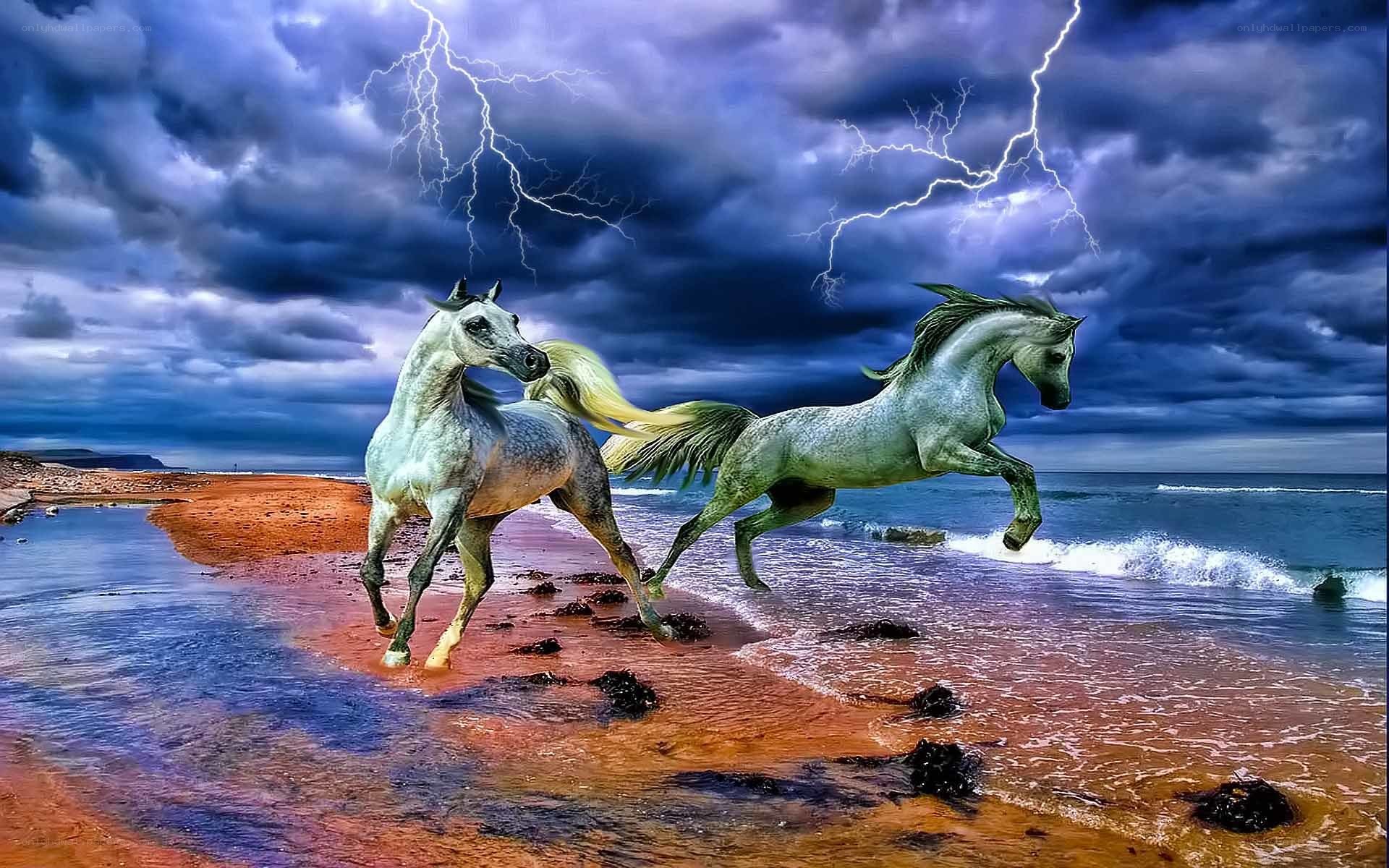 Horses running on beach at storm