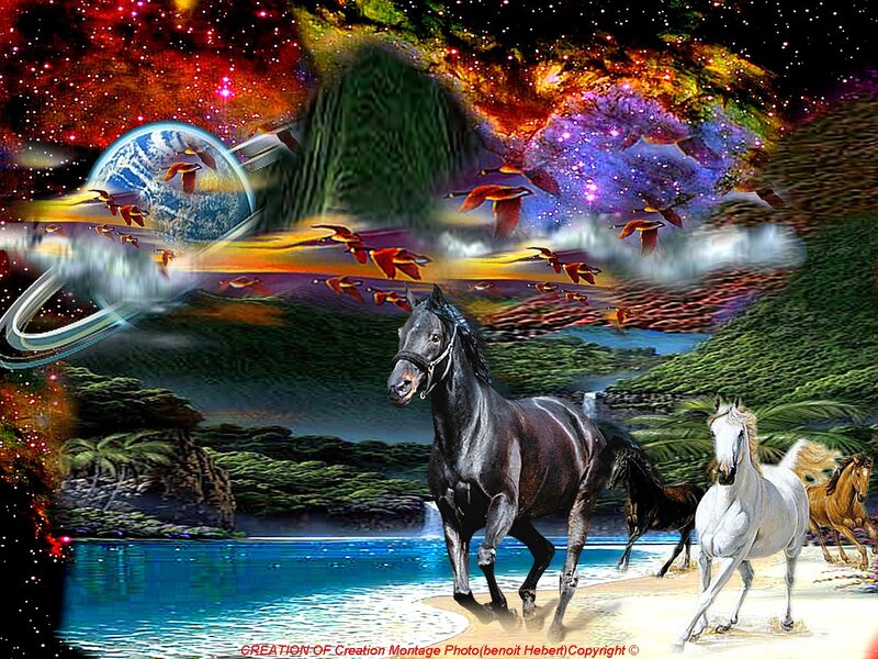 Horses Running on Beach — Blue