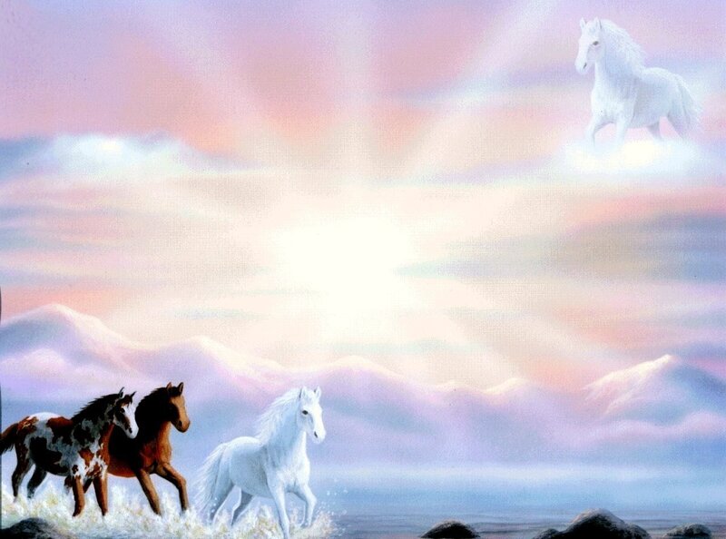 Horses Running on Beach — White