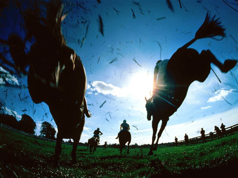 Horses Running on Grass