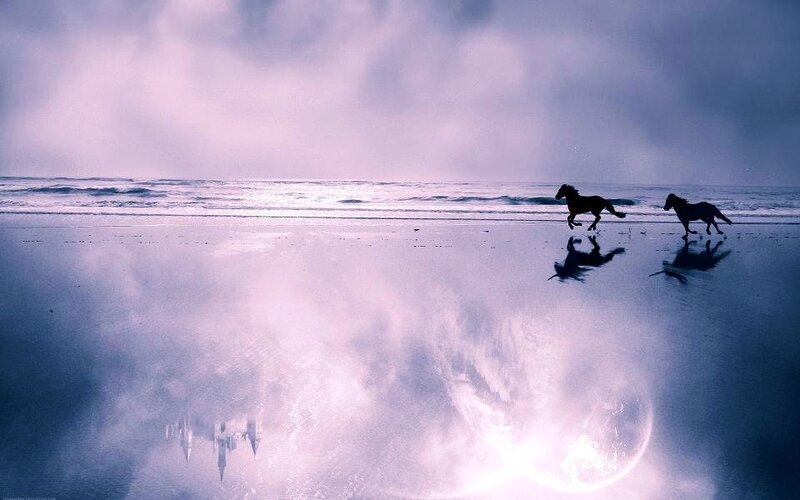 Horses running on the beach