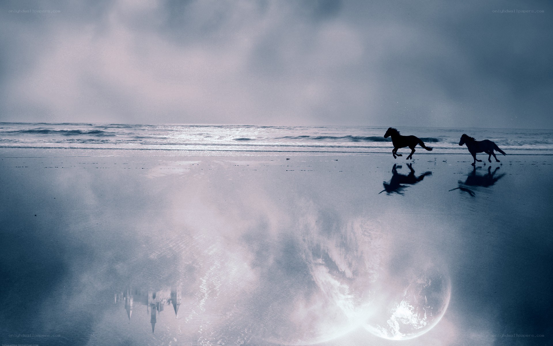 Horses running on the beach