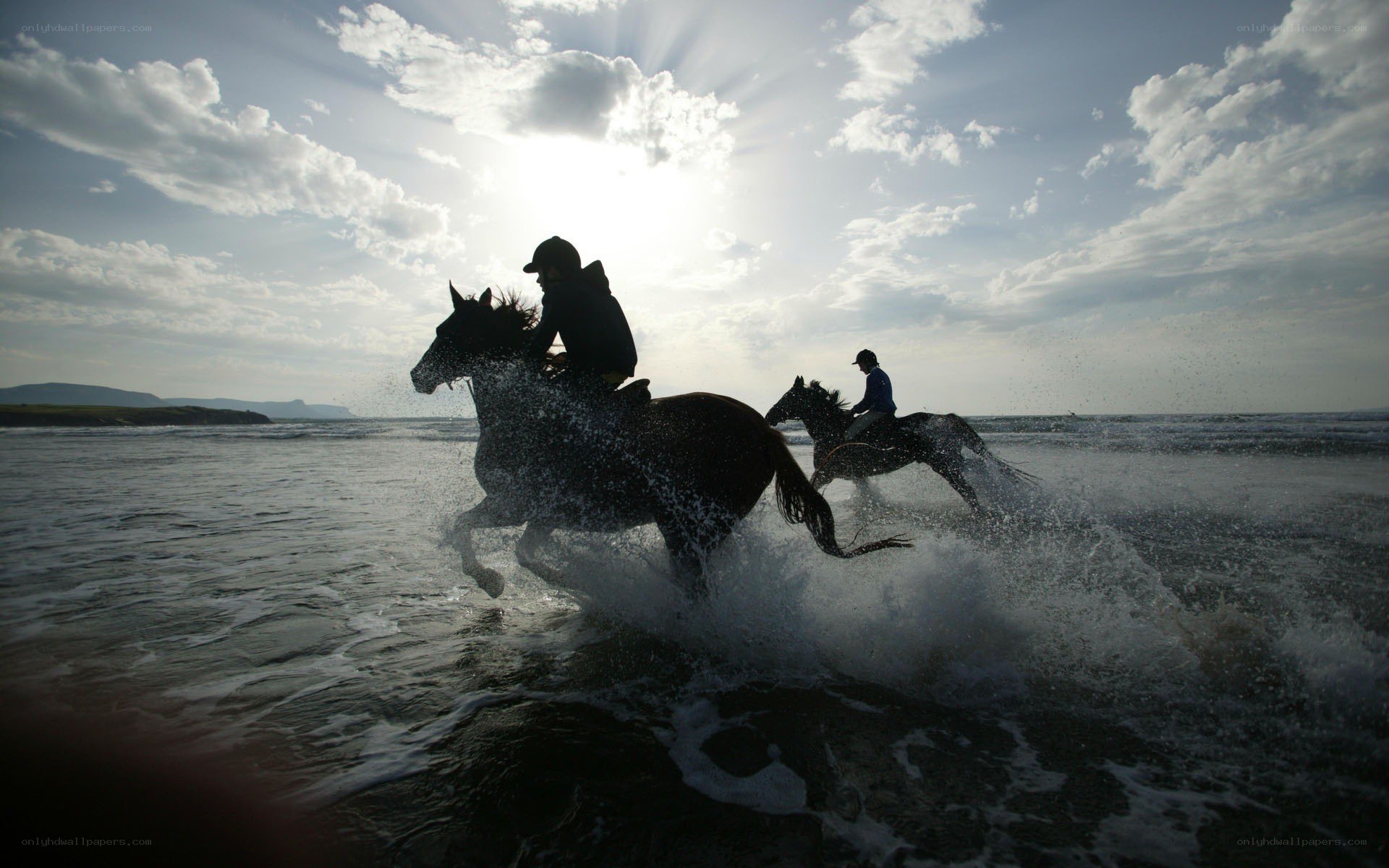 Horses running on the beach
