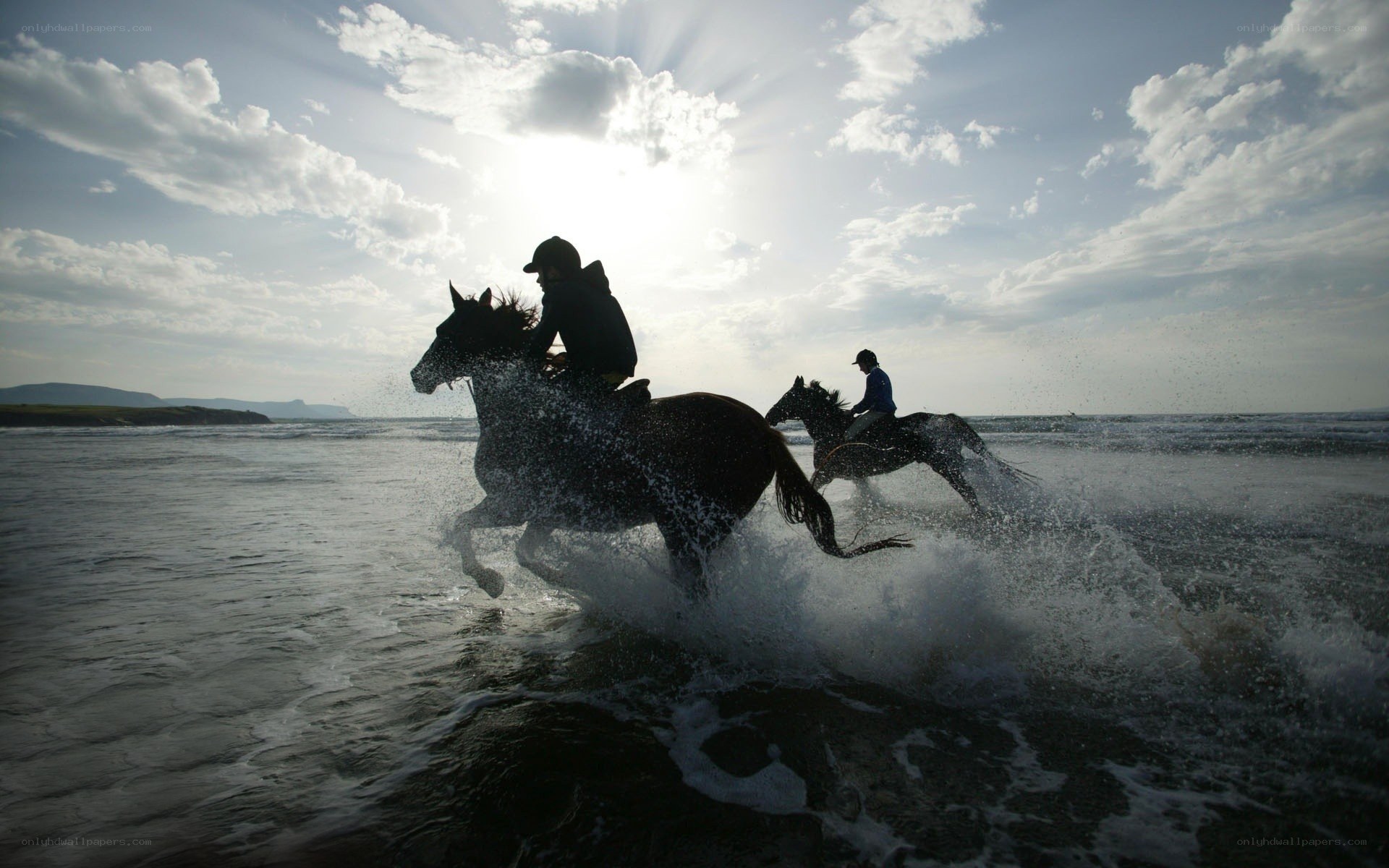 Horses running on the beach