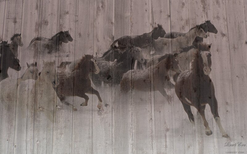 Horses running on wood