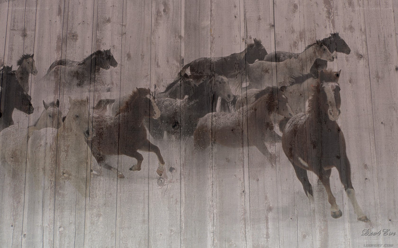 Horses running on wood