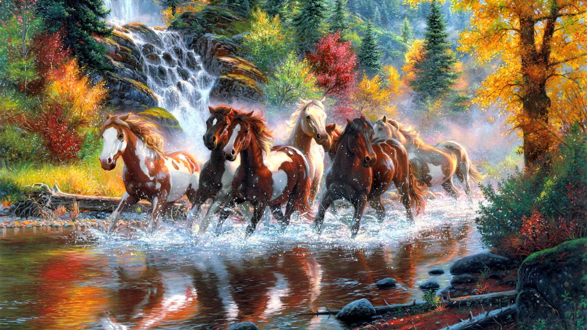 Horses running through a stream