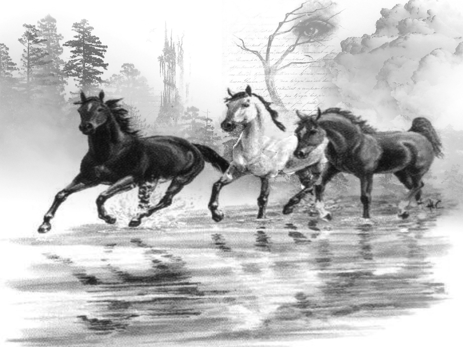 horses running through water