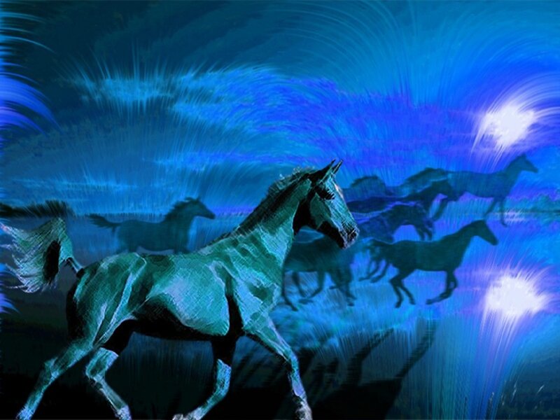 Horses running under blue sky