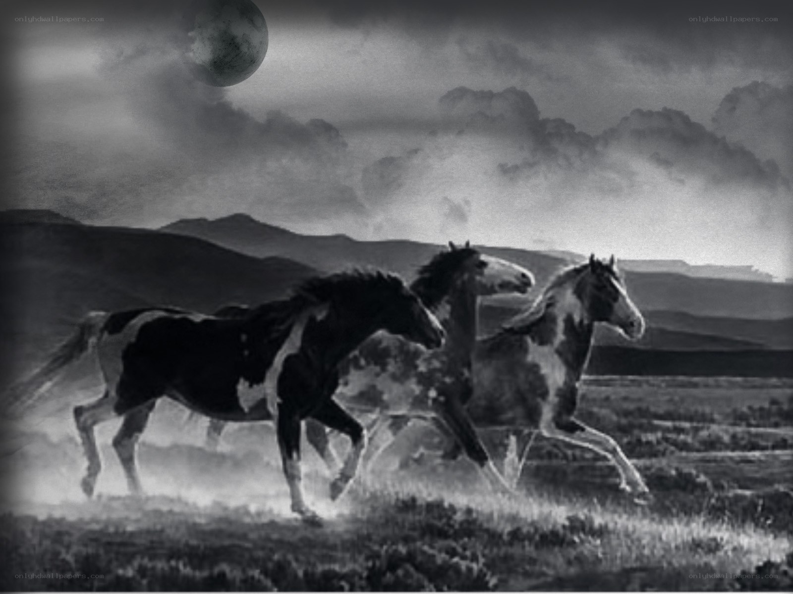 horses running under moon