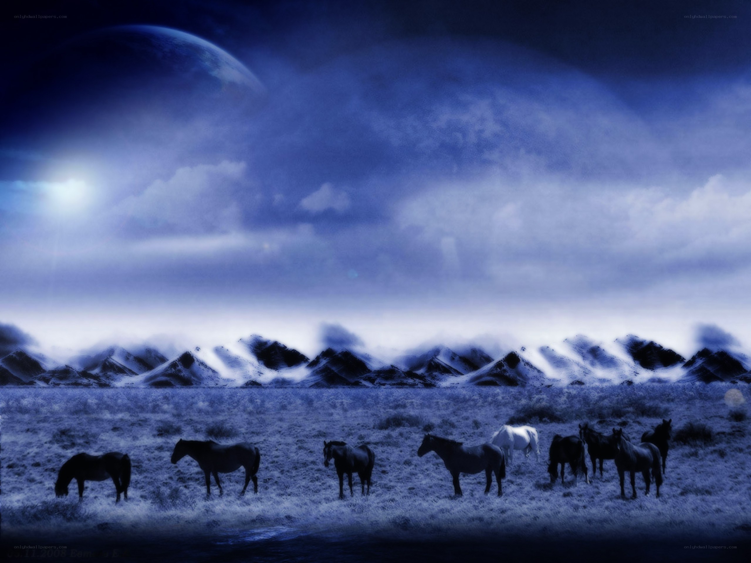 Horses under a blue sky