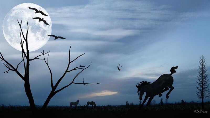 Horses under a full moon
