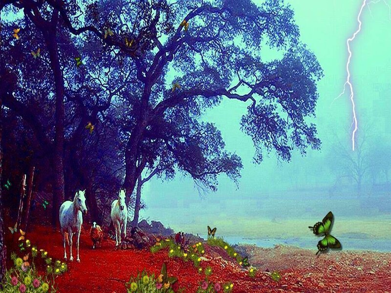 Horses under a stormy sky