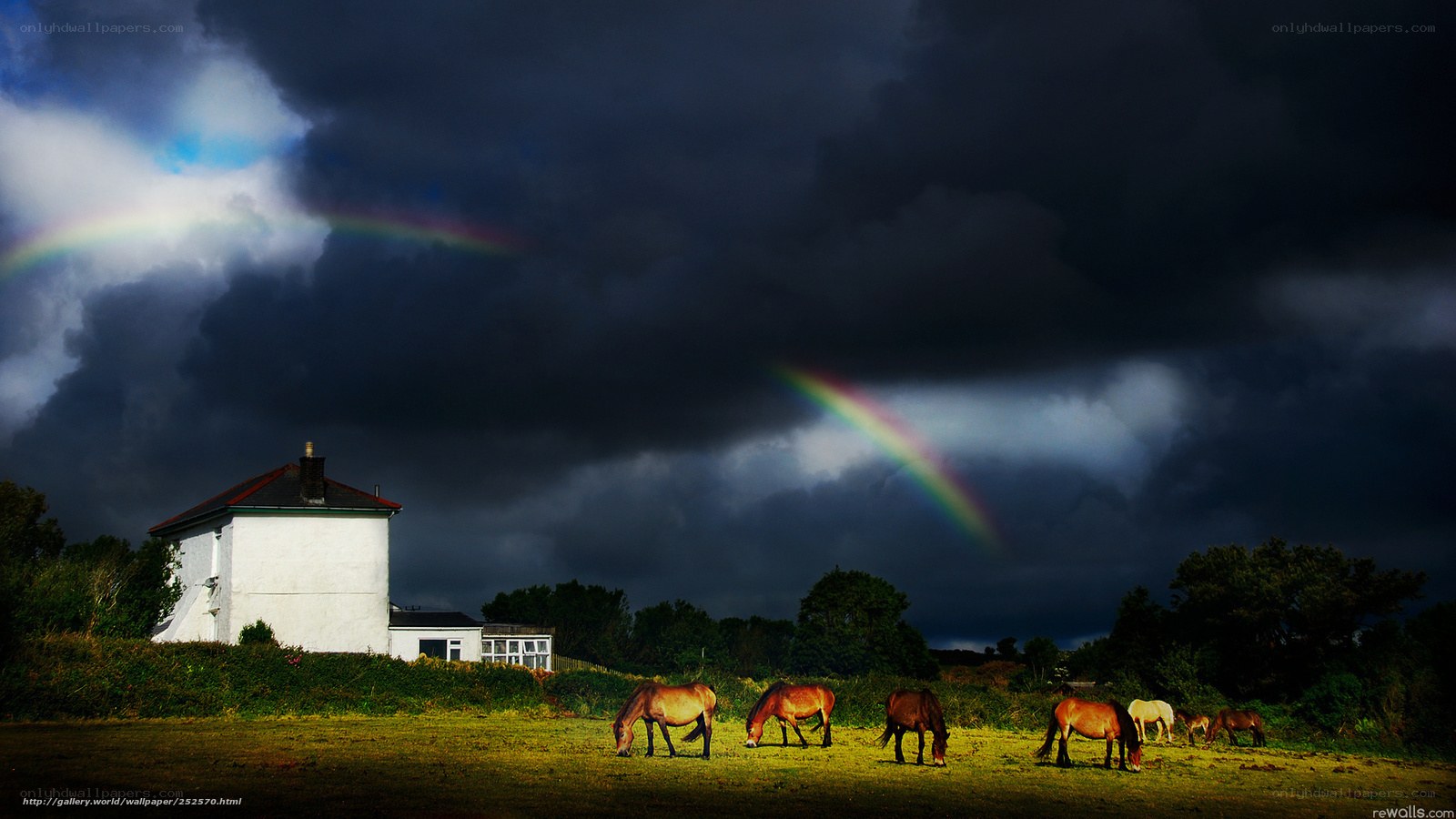 Horses under a stormy sky