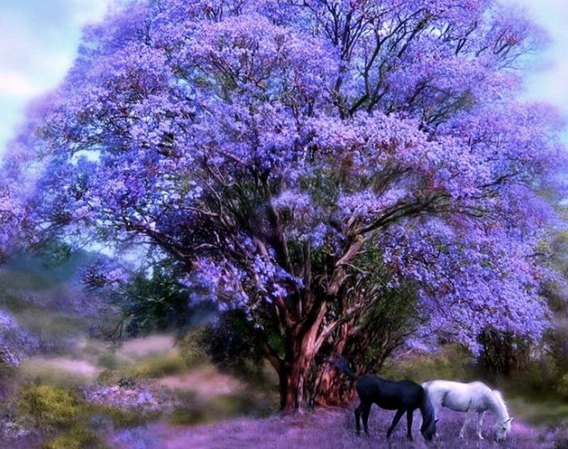 Horses under Purple Tree — Serene
