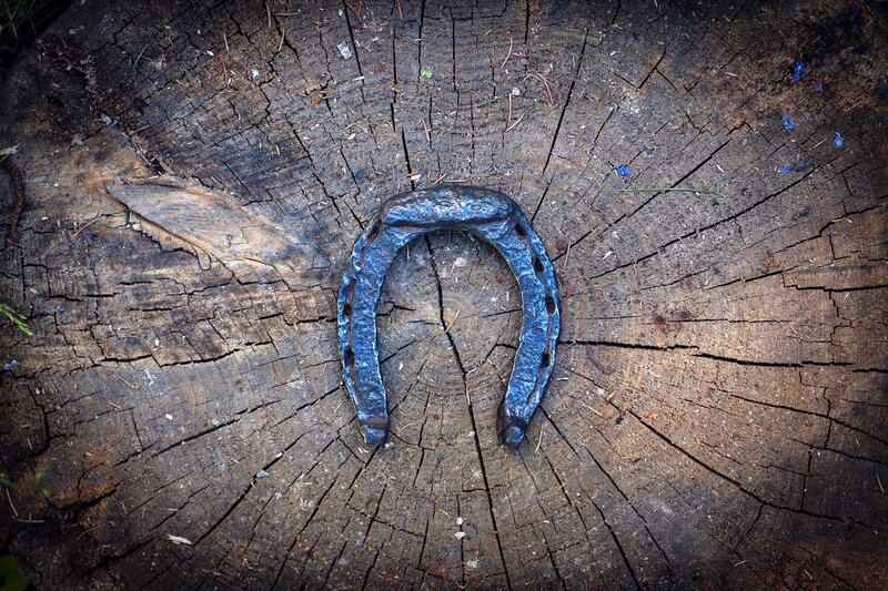 Horseshoe on Tree Stump
