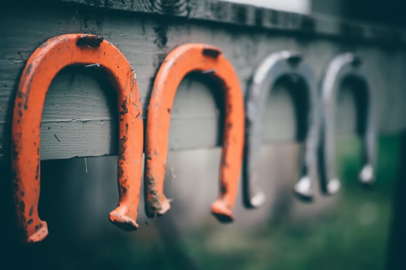 Horseshoes on Wall