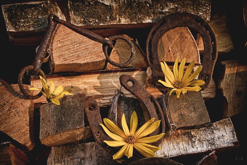 Horseshoes with Yellow Flowers