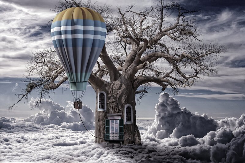 Hot Air Balloon and Tree House