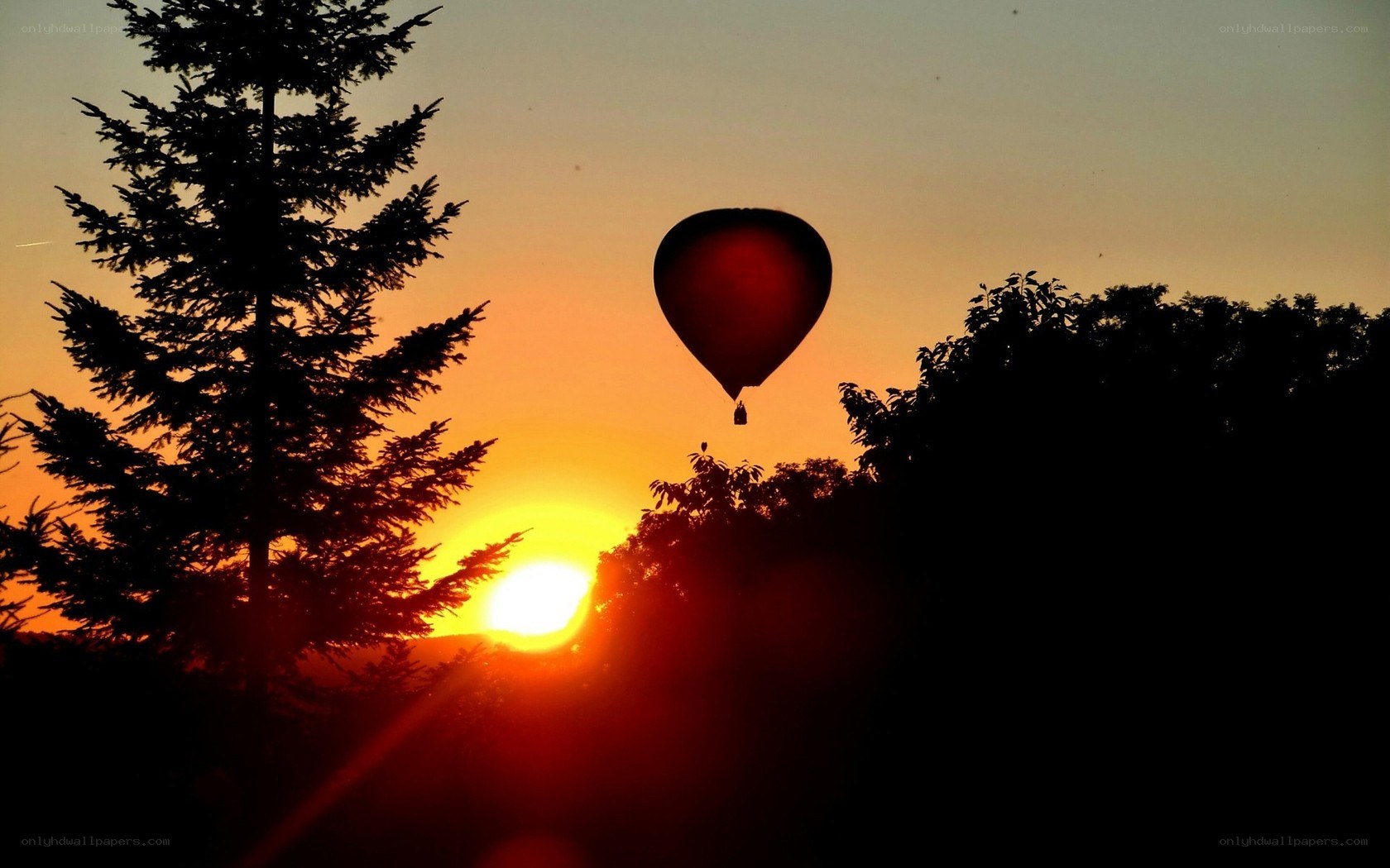 Hot air balloon at sunset