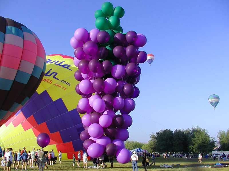 Hot air balloon festival
