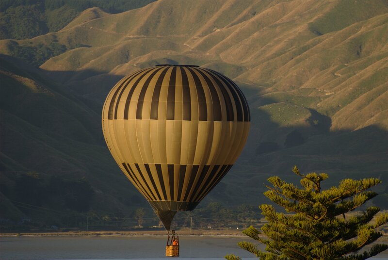 Hot Air Balloon — Green