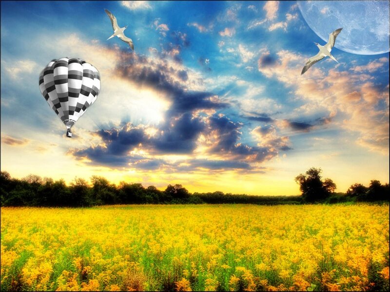 Hot Air Balloon in Field — Yellow, Serene