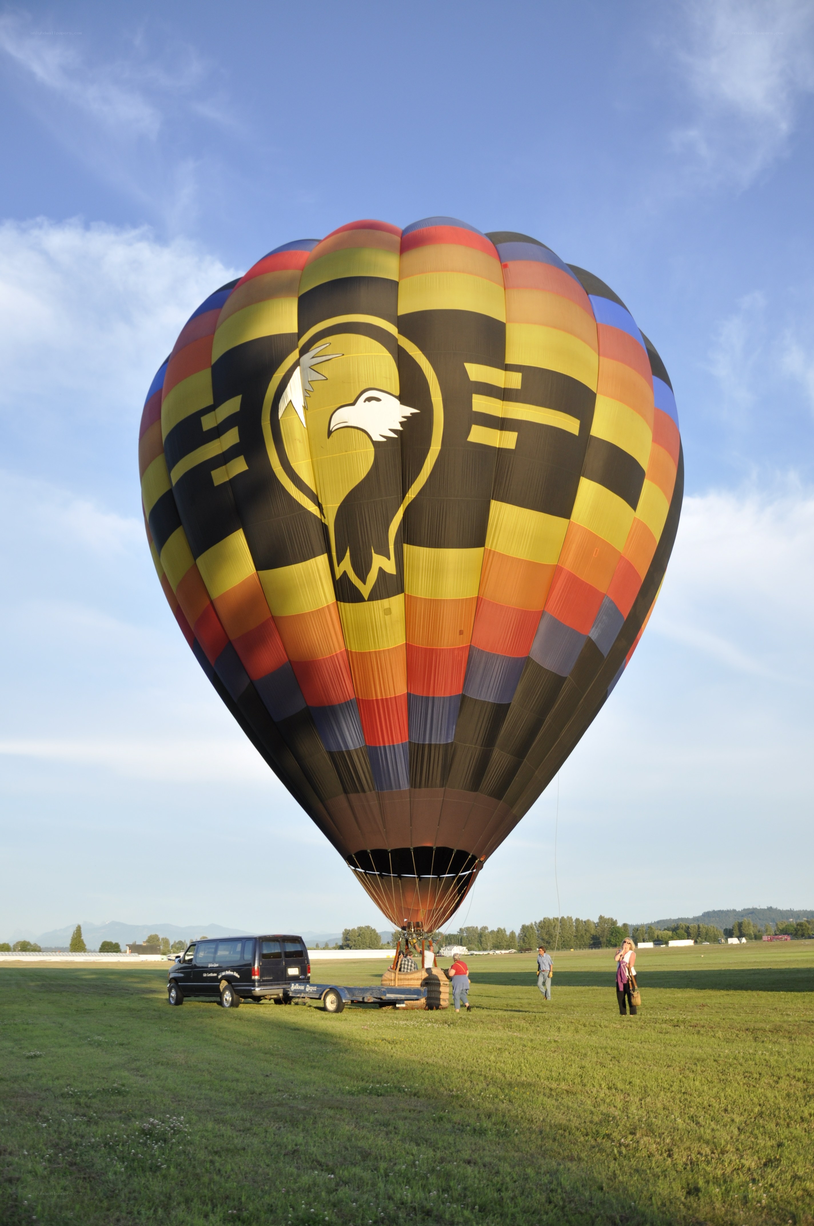 Hot air balloon in field
