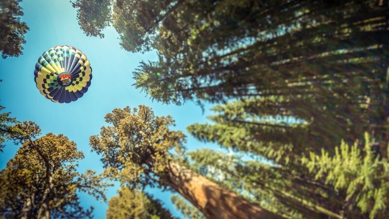 Hot Air Balloon in Forest — Blue
