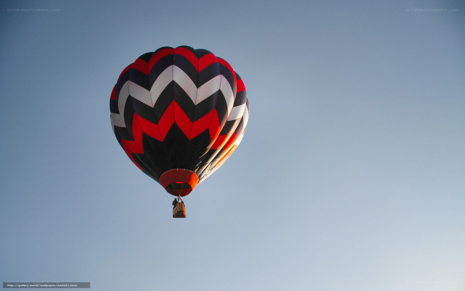 Hot air balloon in sky
