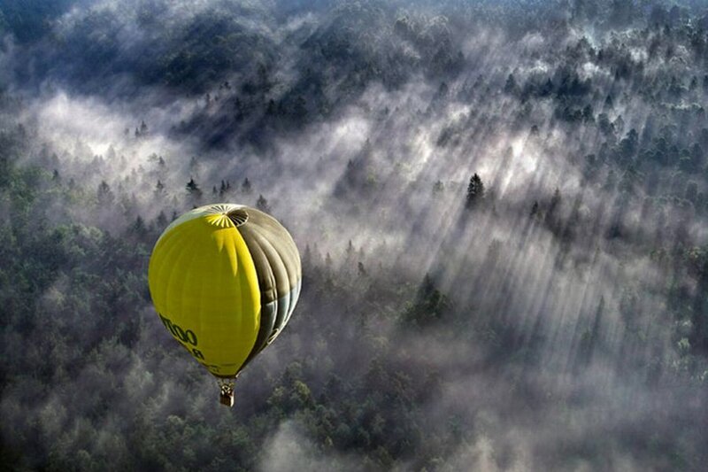 Hot Air Balloon over Forest — Yellow