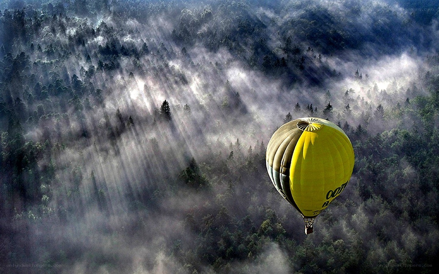Hot air balloon over forest